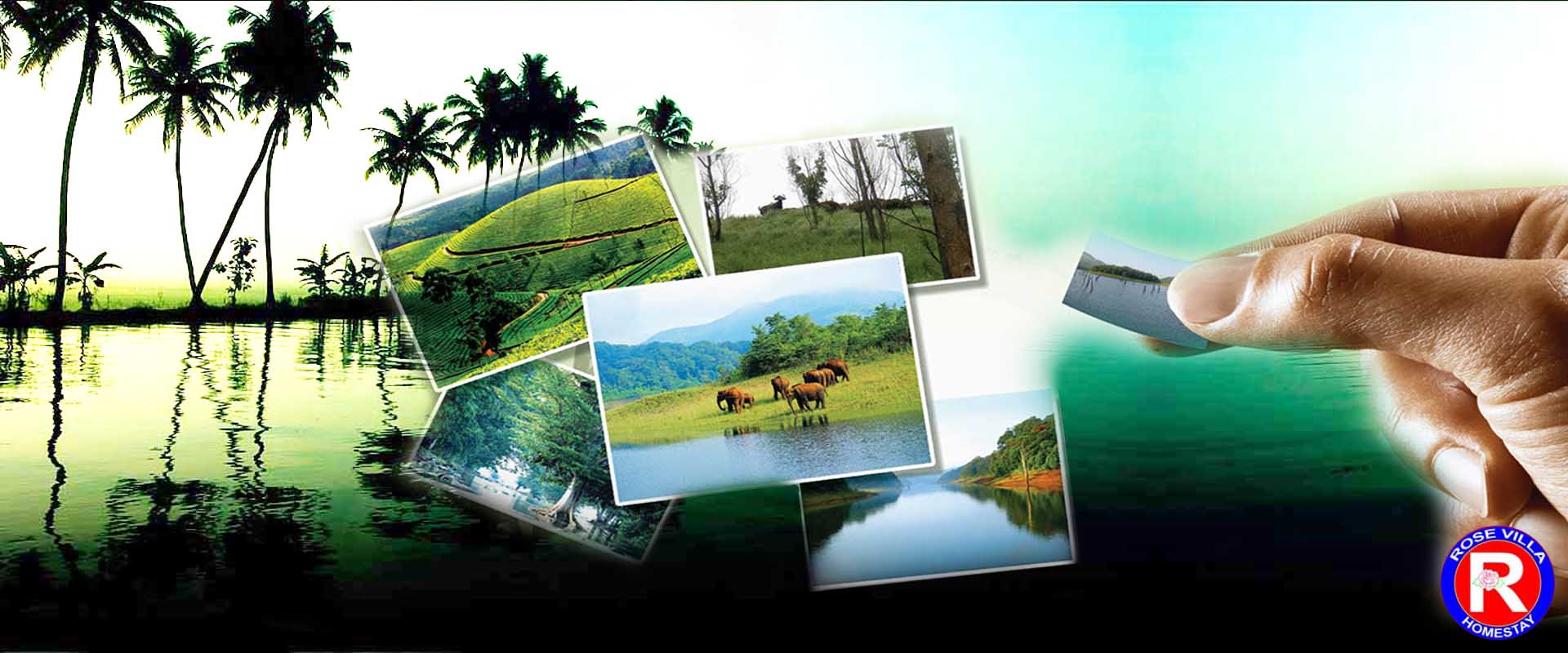 Best taxi service near cochin airport